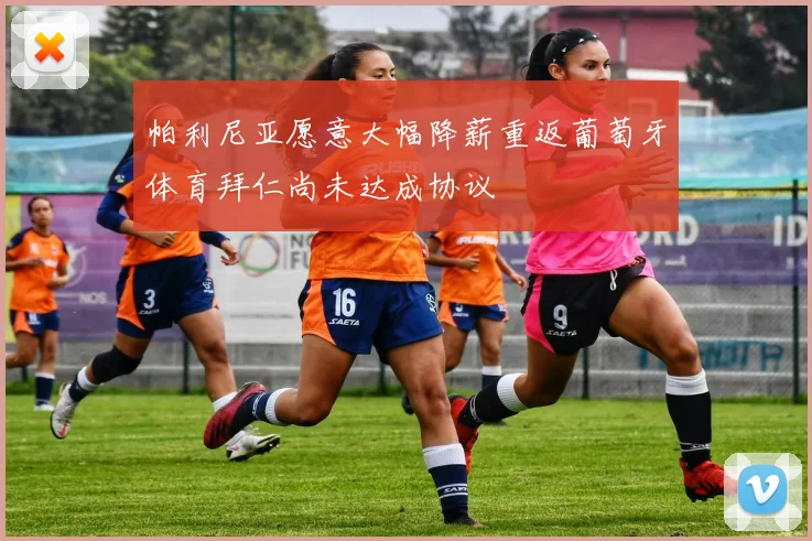 帕利尼亚愿意大幅降薪重返葡萄牙体育拜仁尚未达成协议